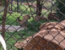 c07445dd da03fd a7f3 c1ae2d9b57fe