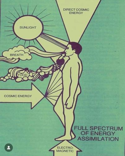 493082898 1103945451775298 n