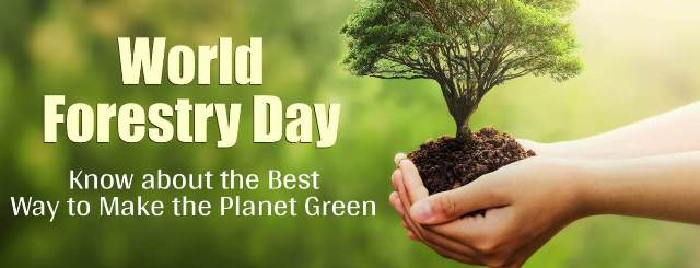 World Forest Day 2023 ThemeHistoryQuotesFactsGreen Earth